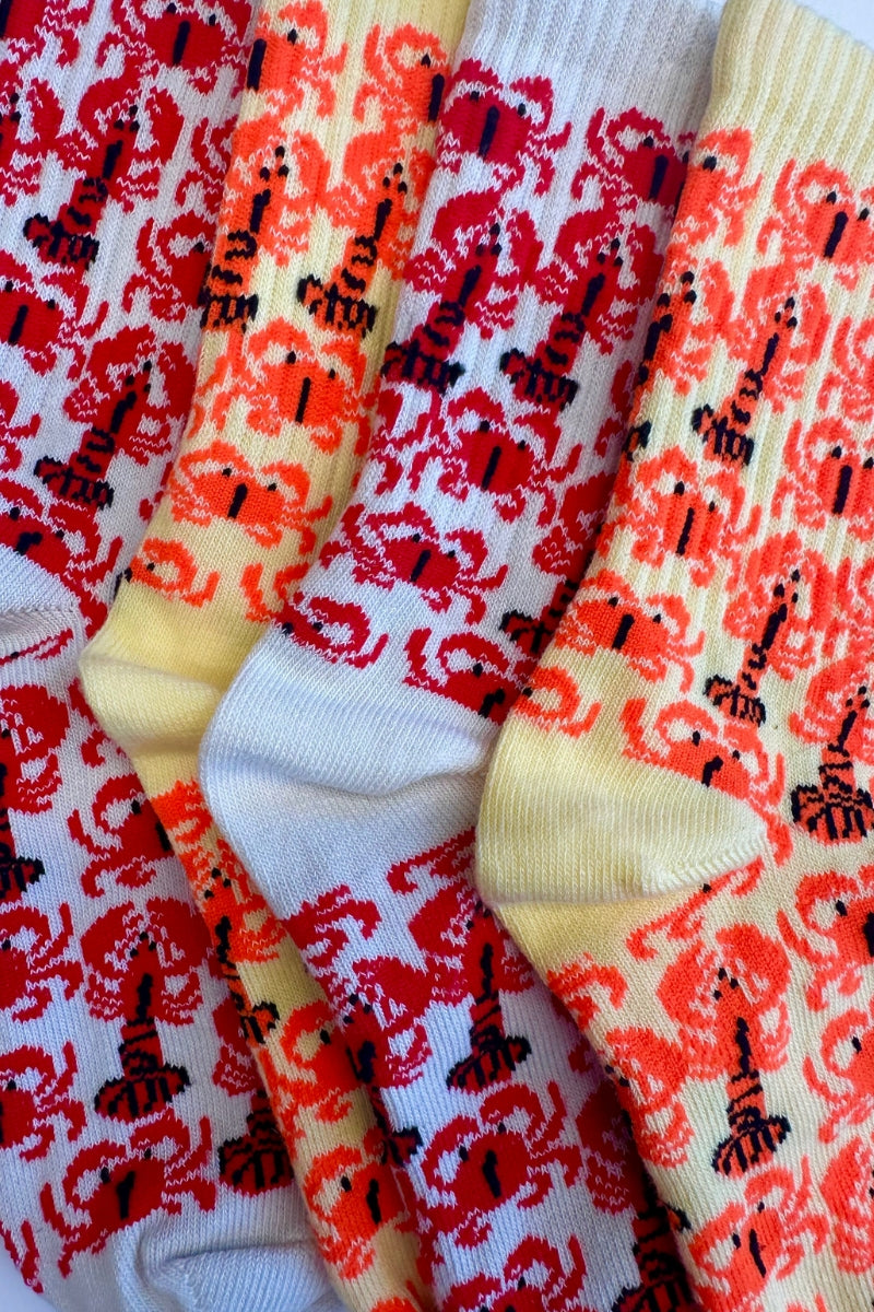 CRAB SOCKS