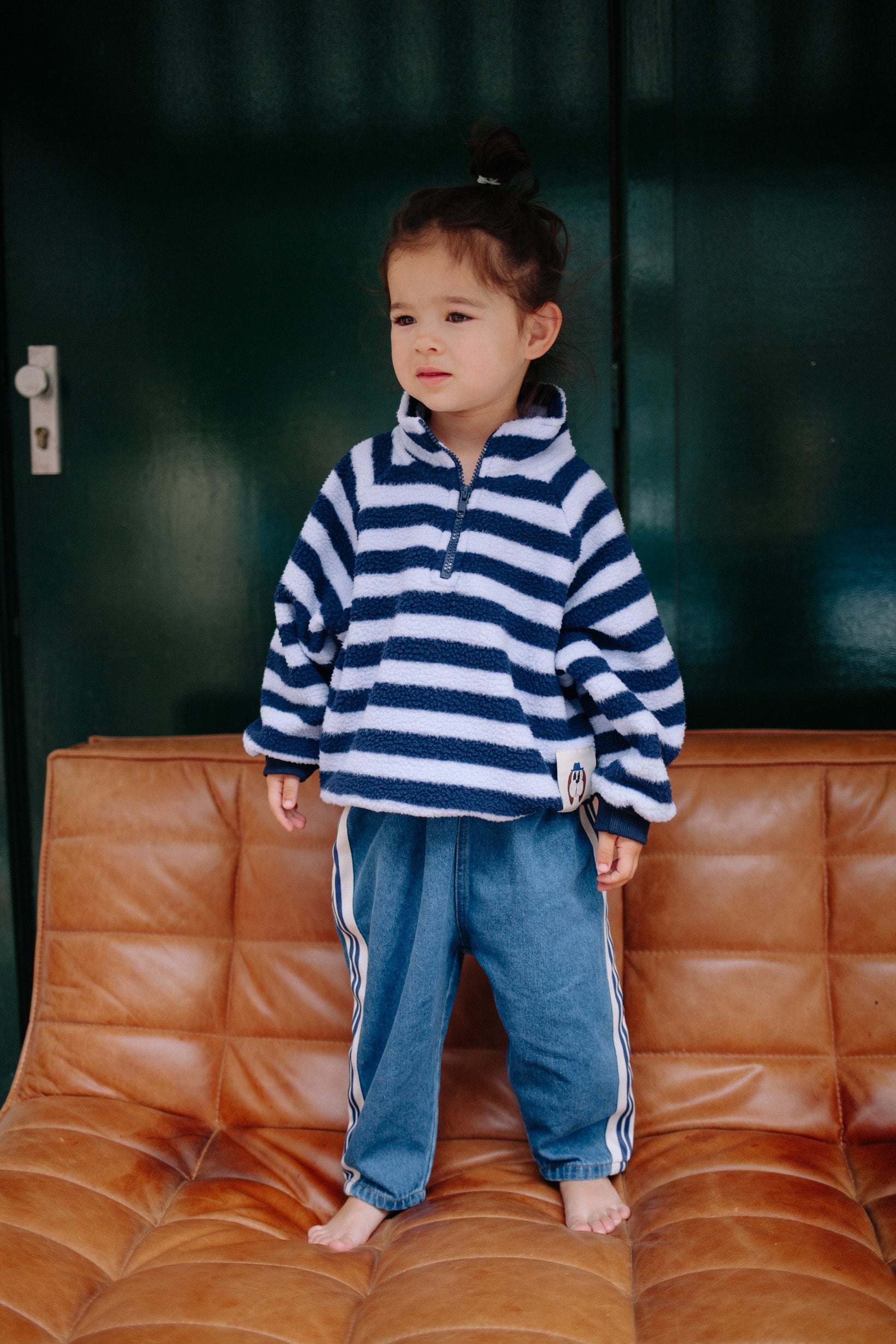 BLUE ZEBRA POLAR