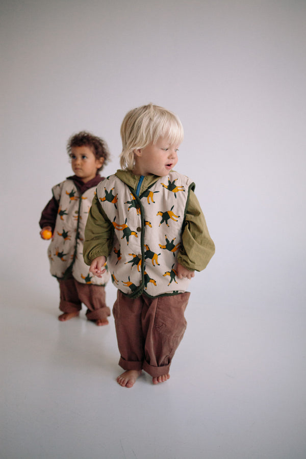 MAGICIAN WAISTCOAT