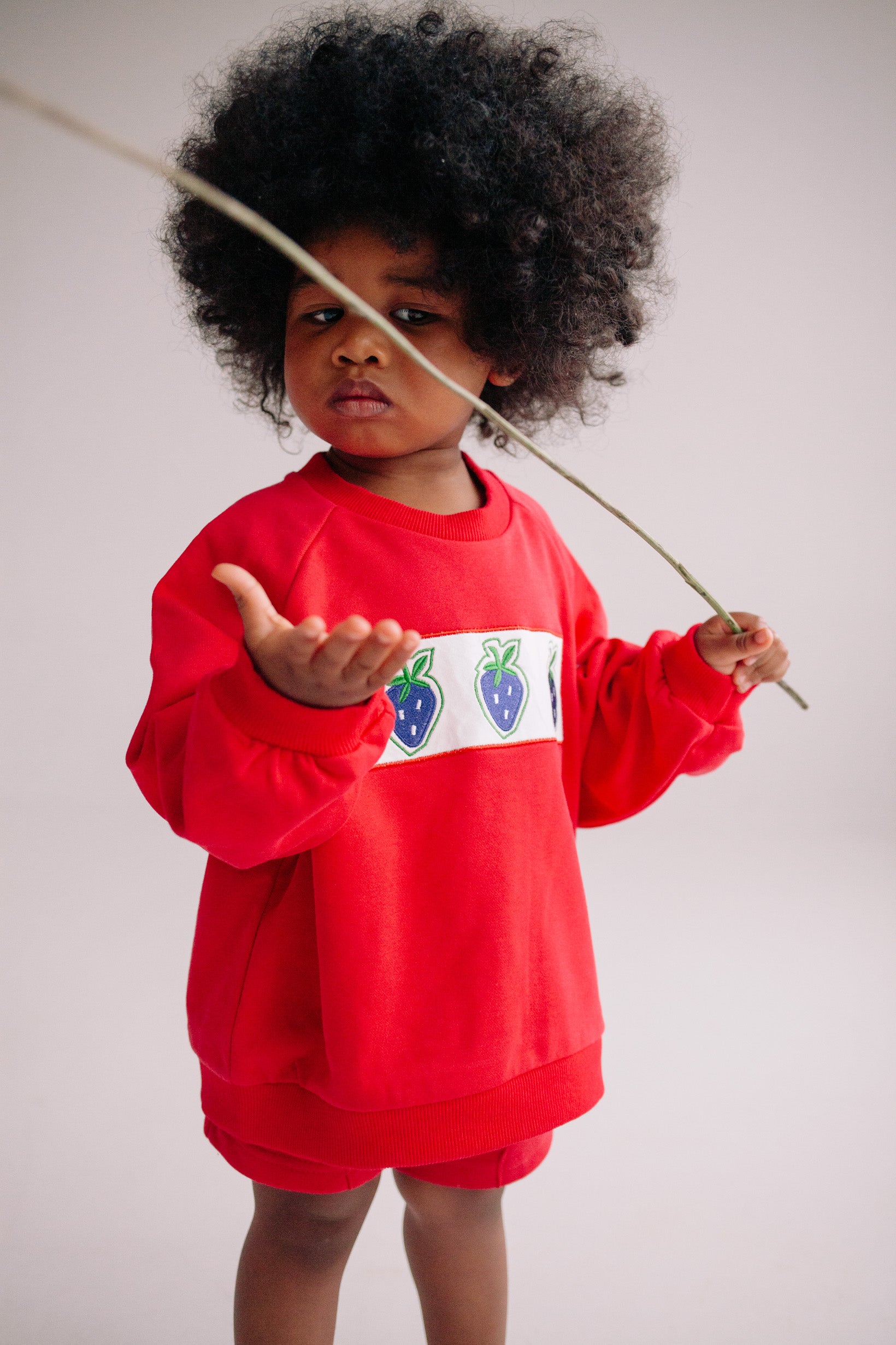 DANCING BERRY SET