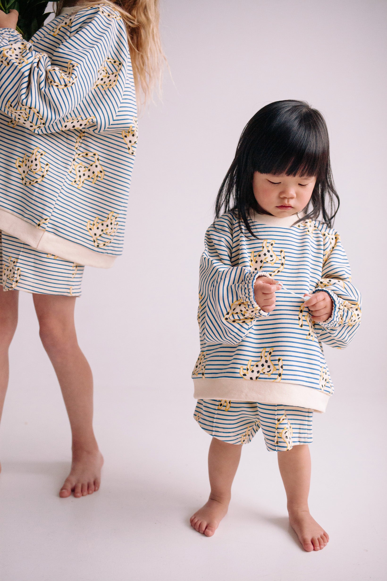 JUMPING CHEETAH SET