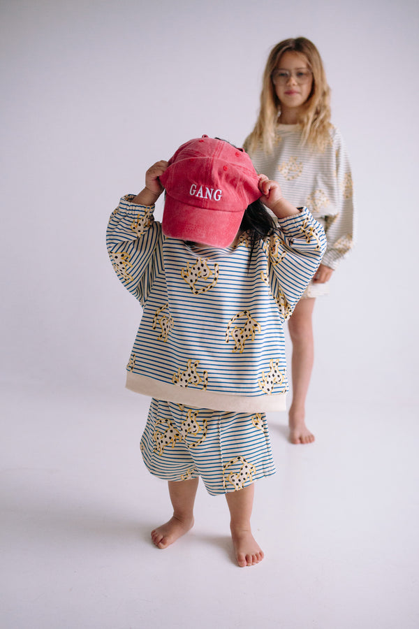 ENSEMBLE JUMPING CHEETAH