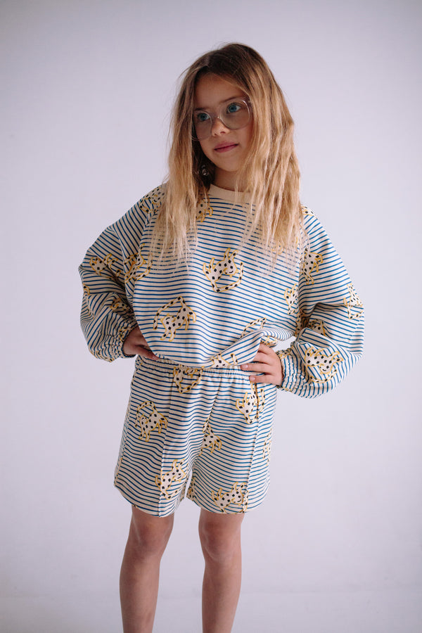 JUMPING CHEETAH SET