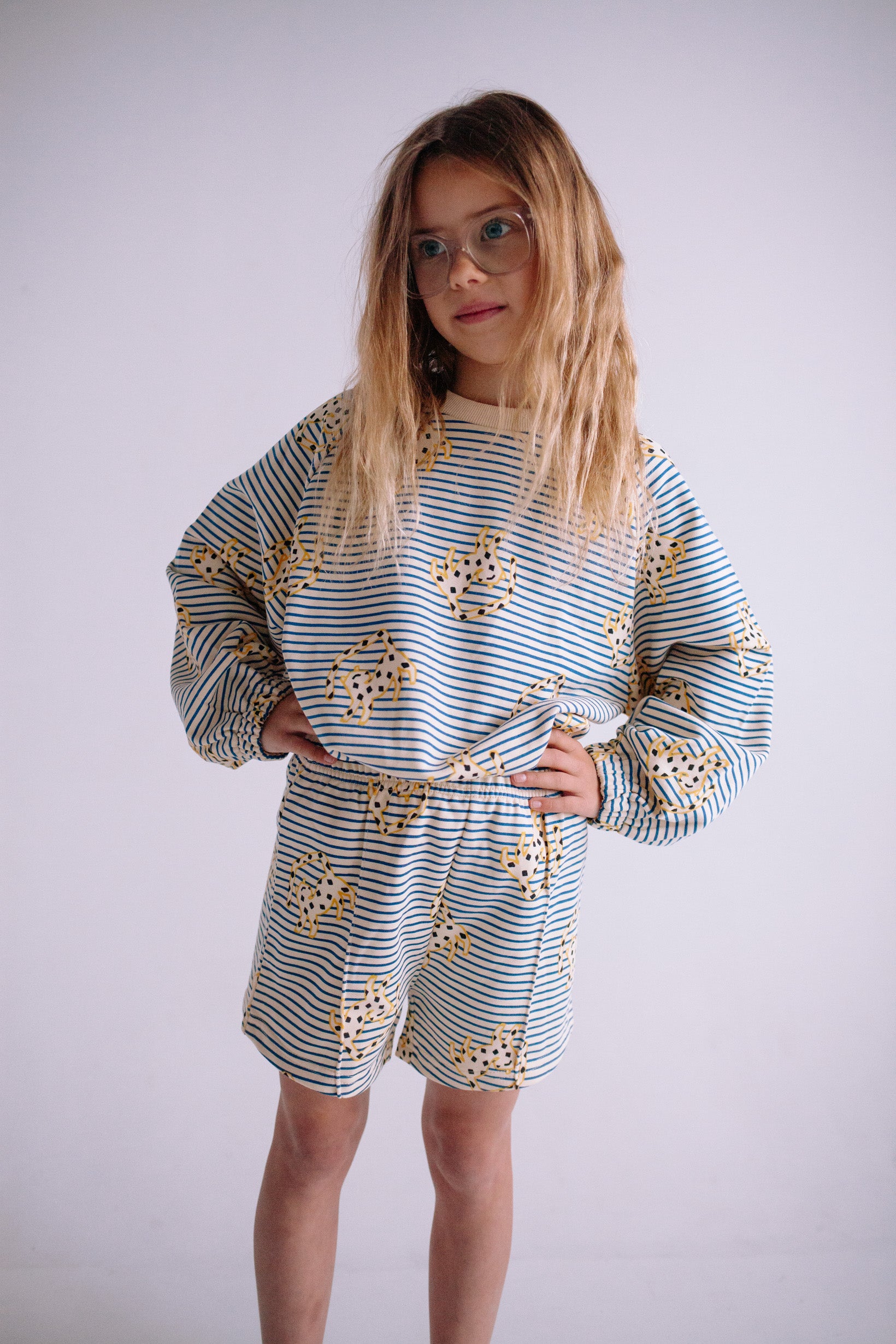 JUMPING CHEETAH SET