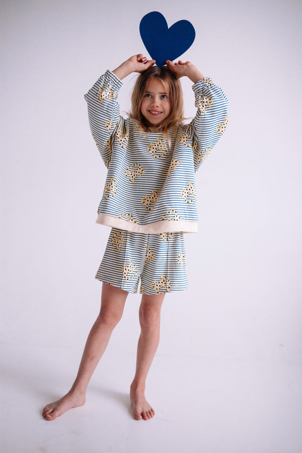 JUMPING CHEETAH SET