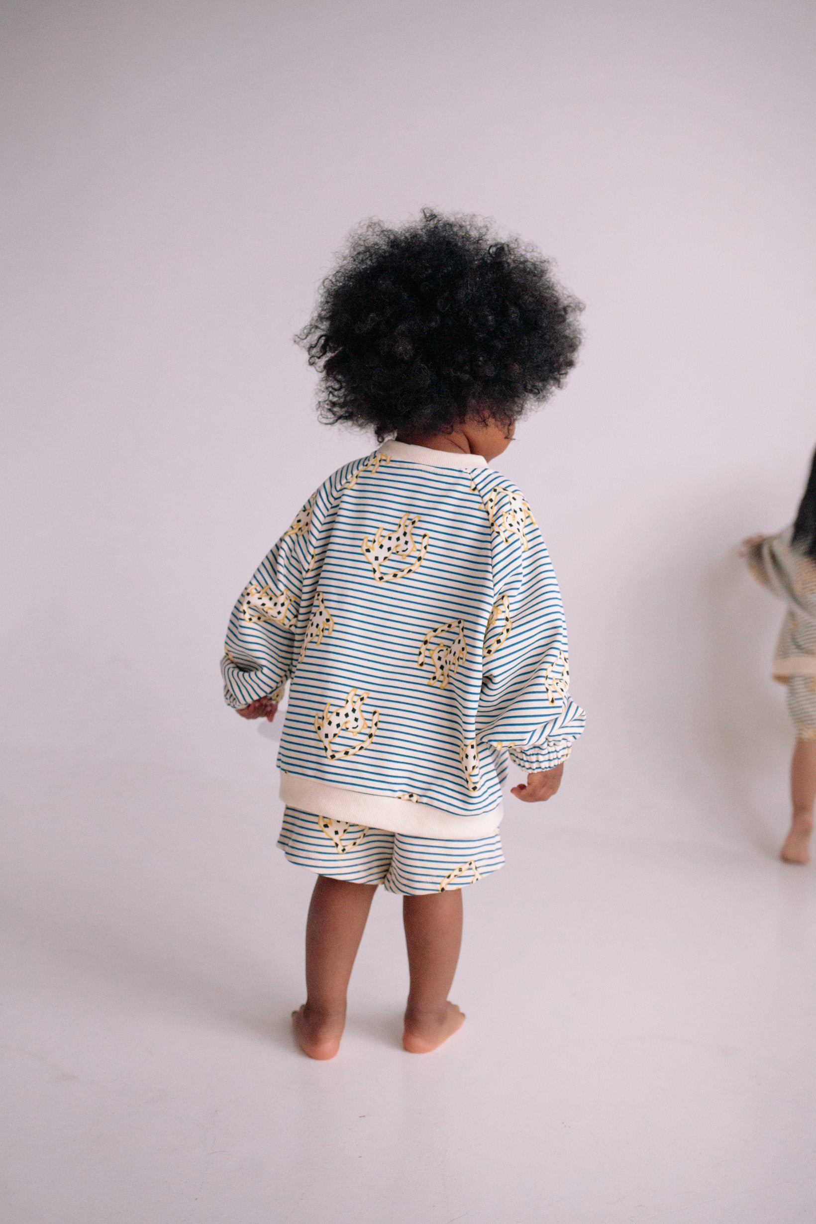 JUMPING CHEETAH SET