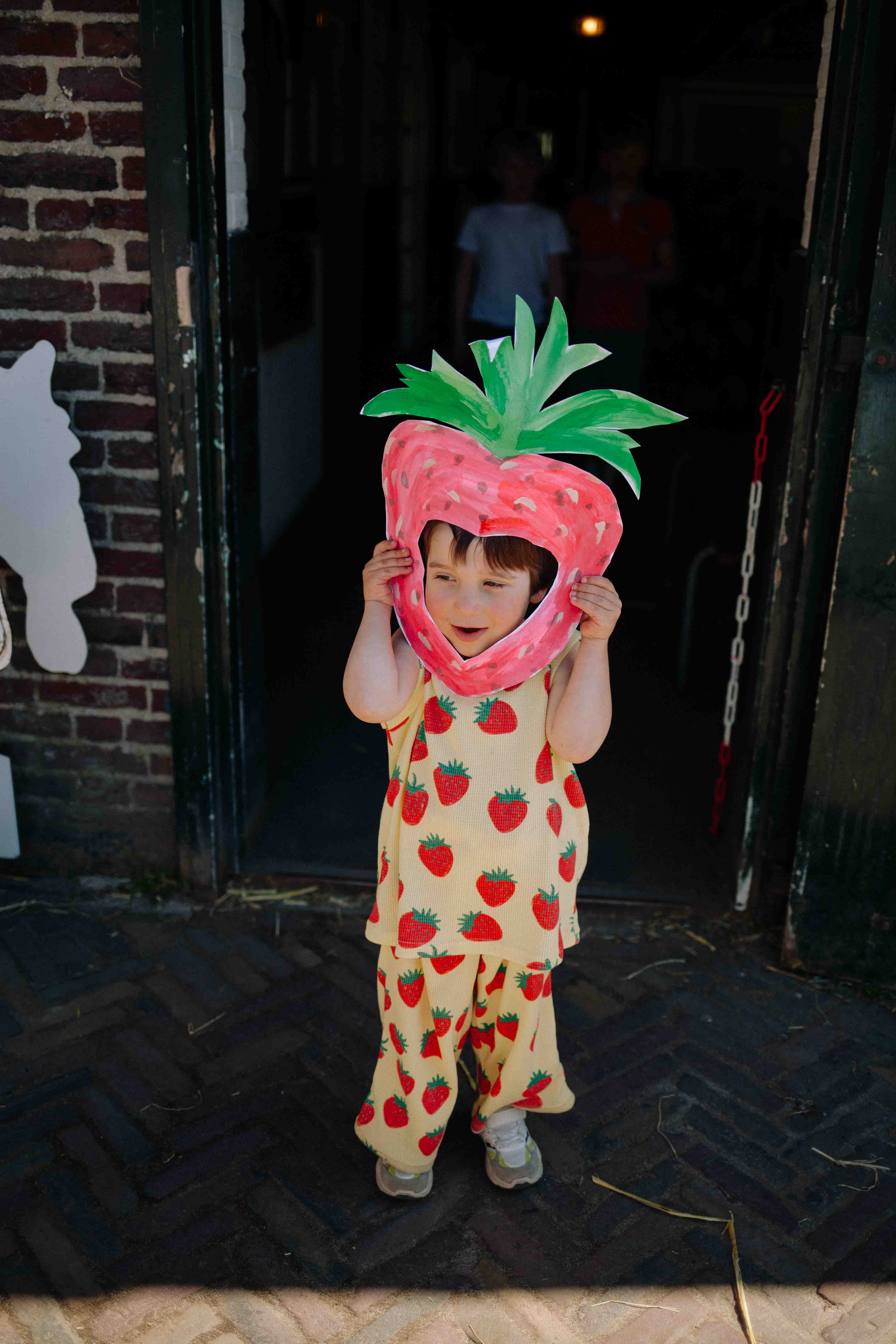 HIPPIE FRUIT SET