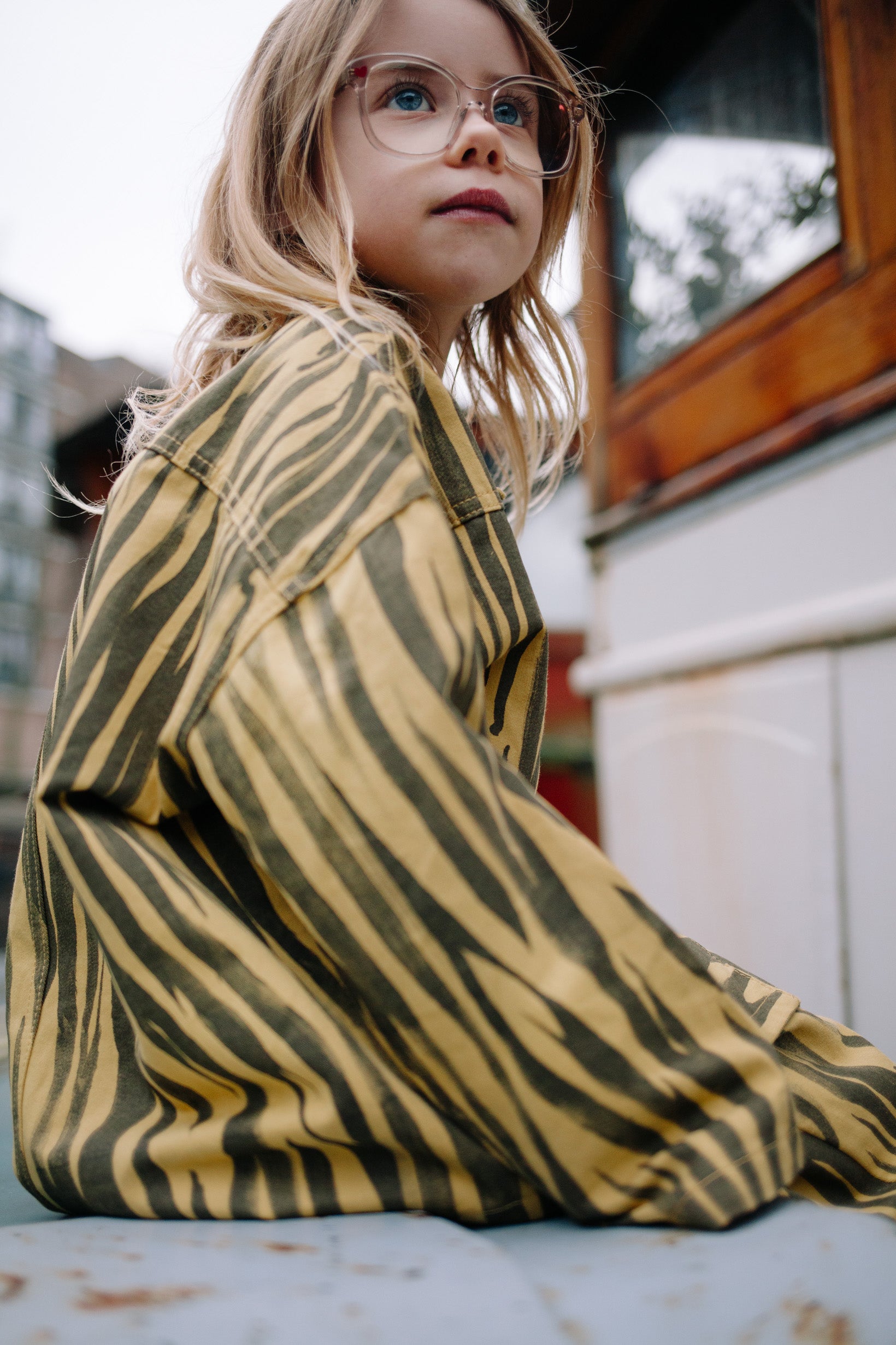 SET ZEBRA GRAOU MUSTARD