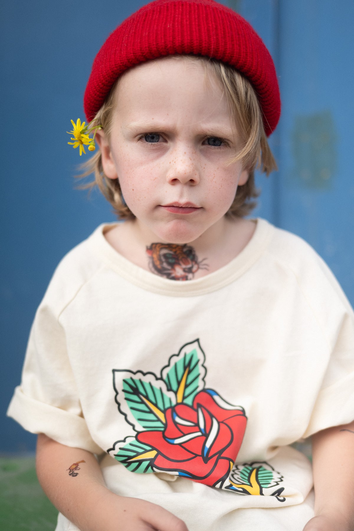 TS ROSE TRADITIONNELLE