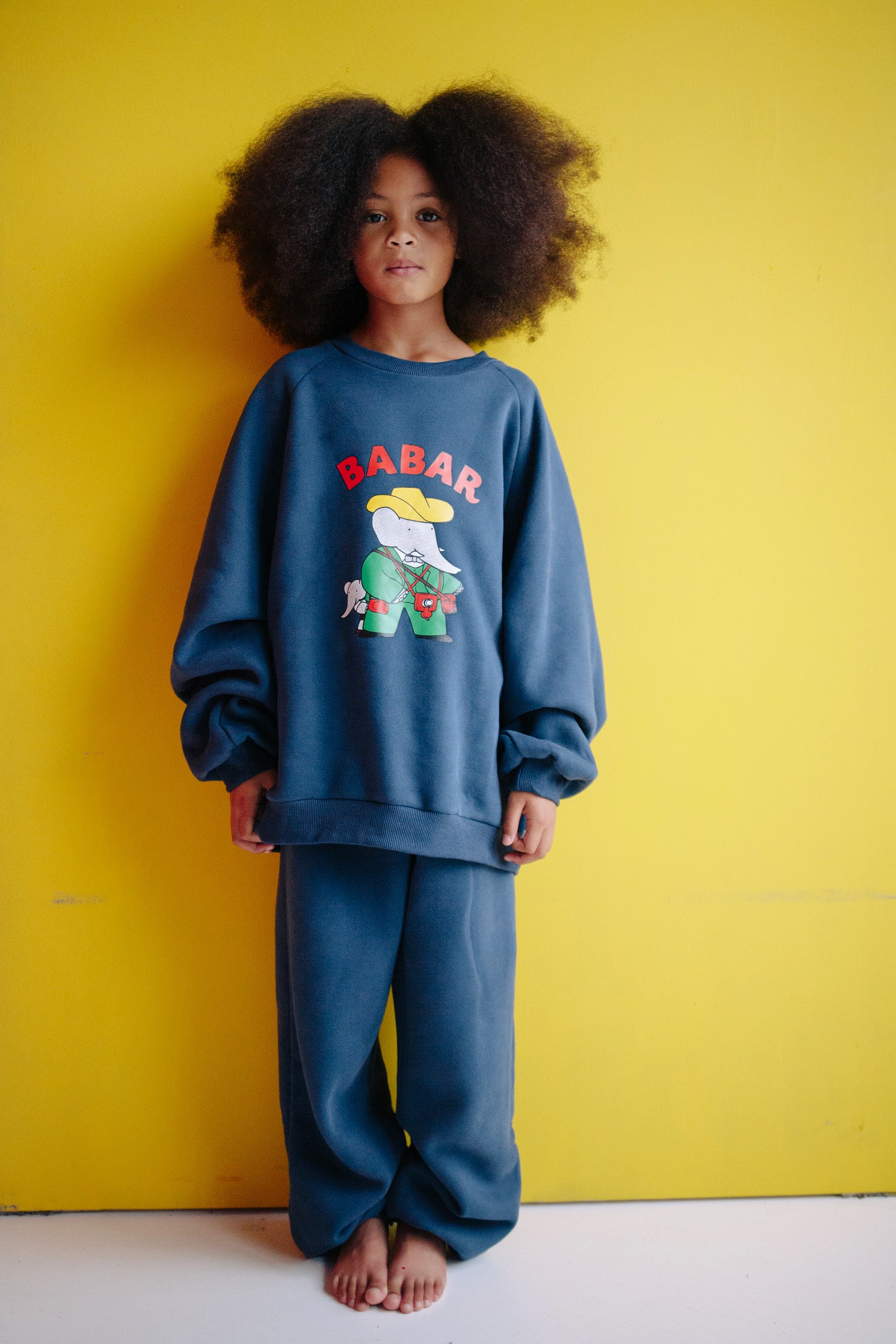 ENSEMBLE BABAR