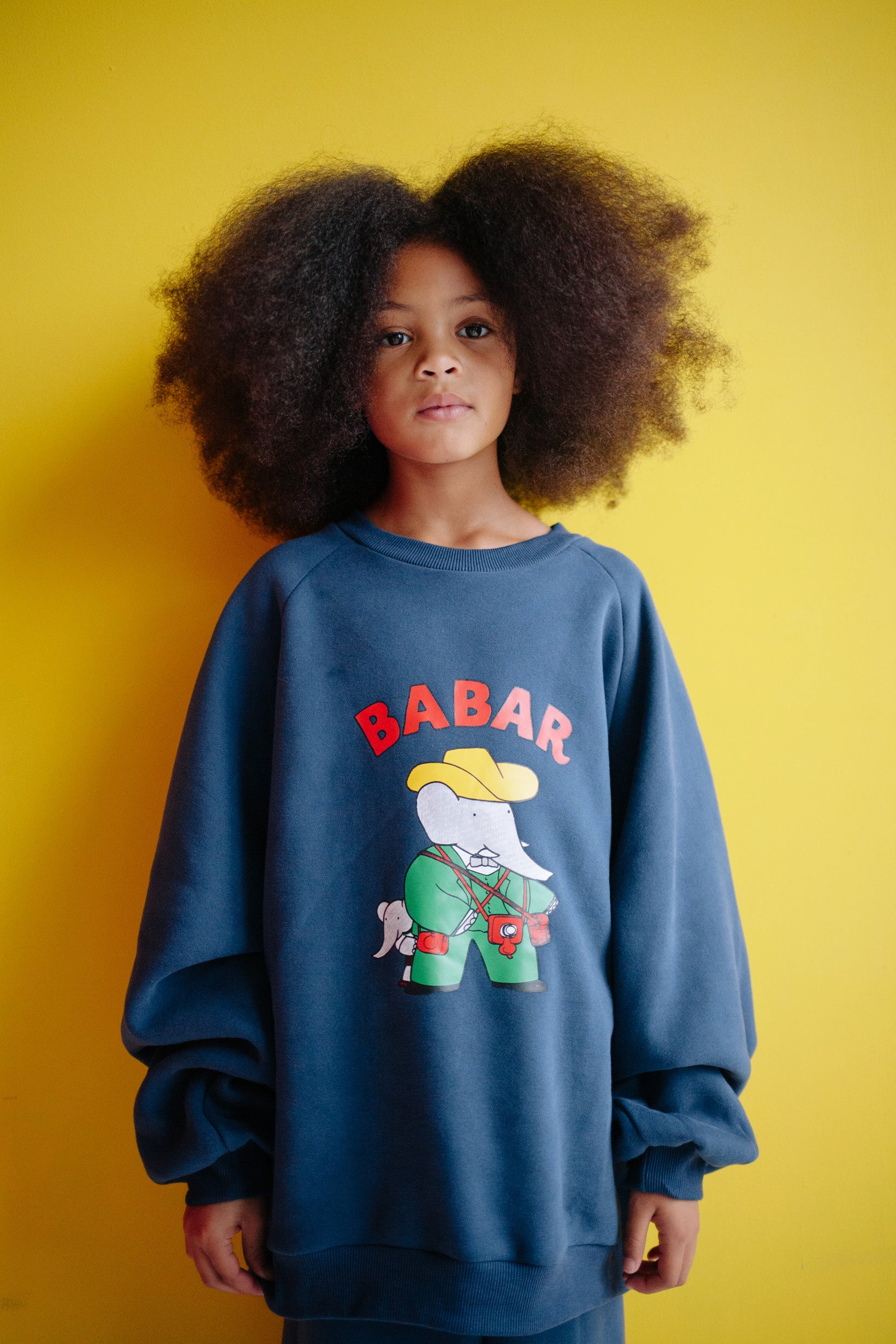 ENSEMBLE BABAR