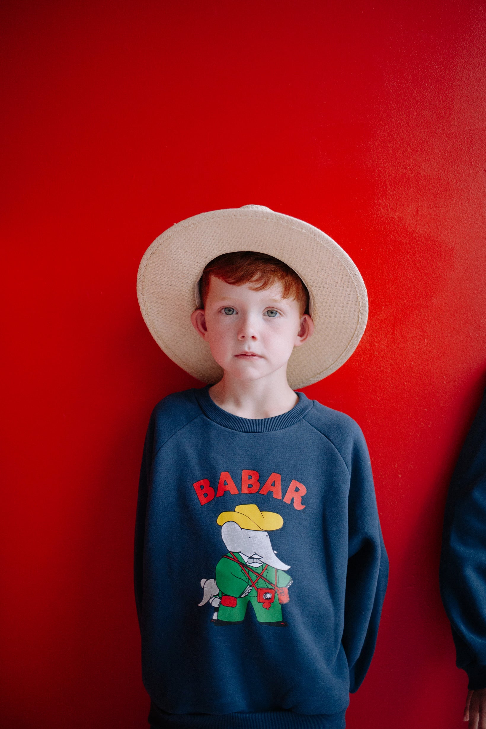 ENSEMBLE BABAR