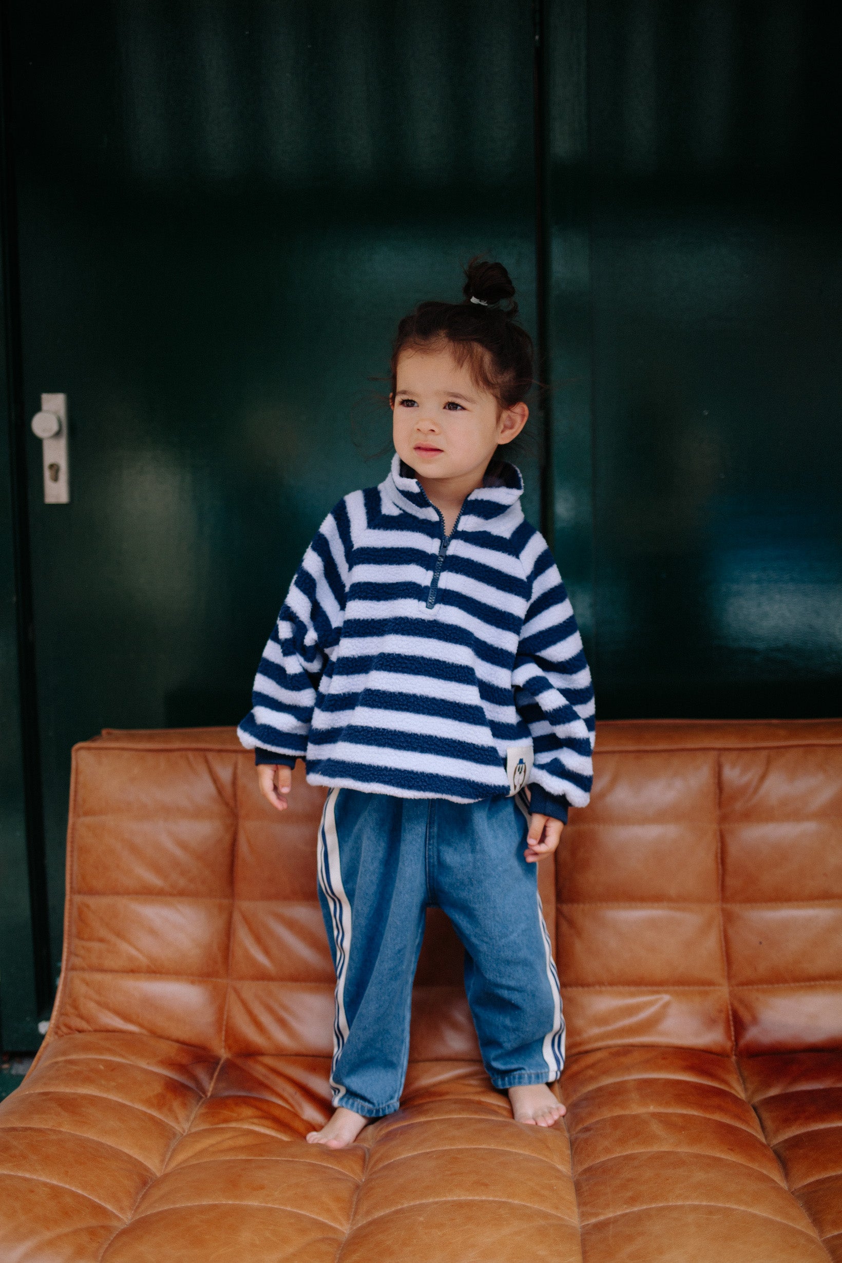 BLUE ZEBRA POLAR