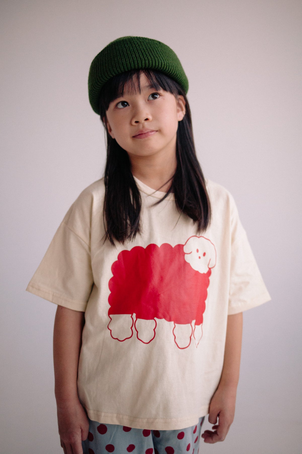 COTTON SHEEP TS