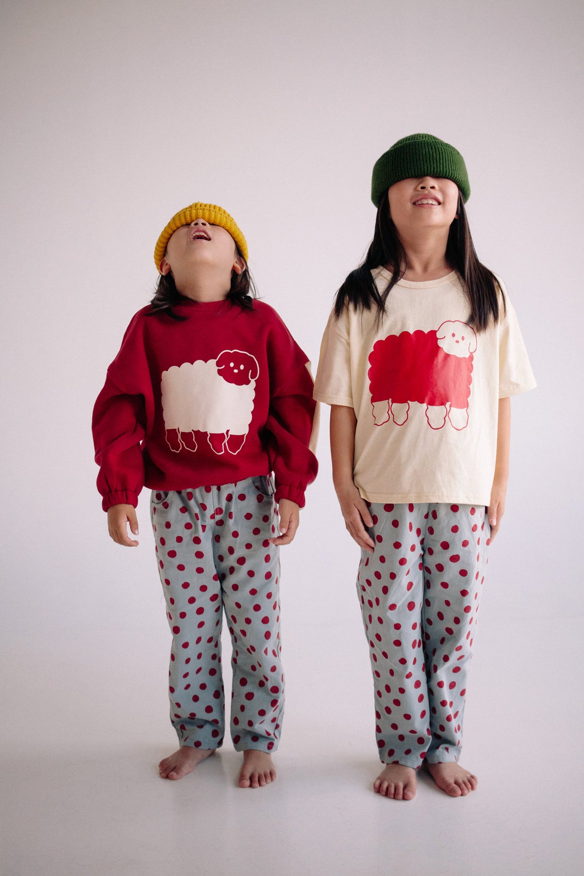 COTTON SHEEP TS