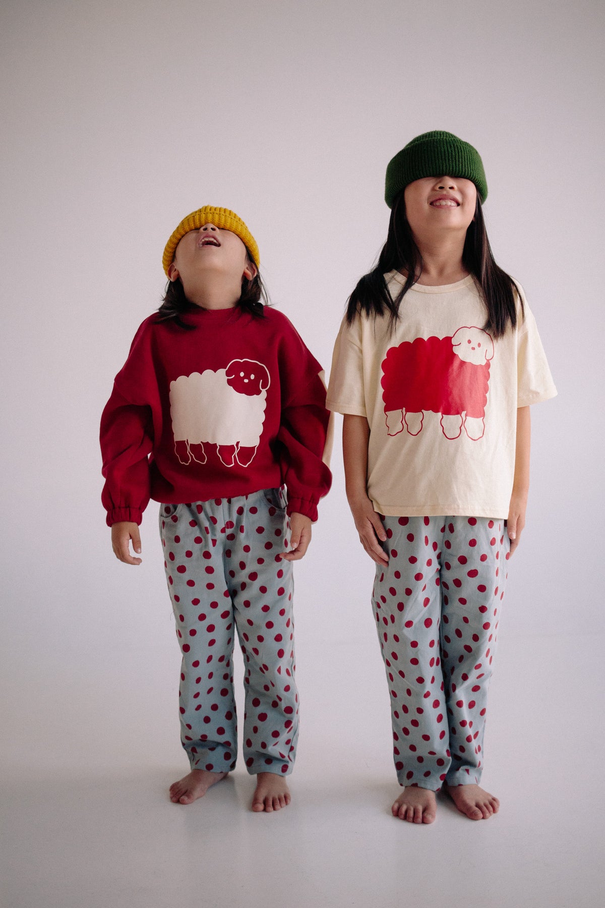 COTTON SHEEP TS