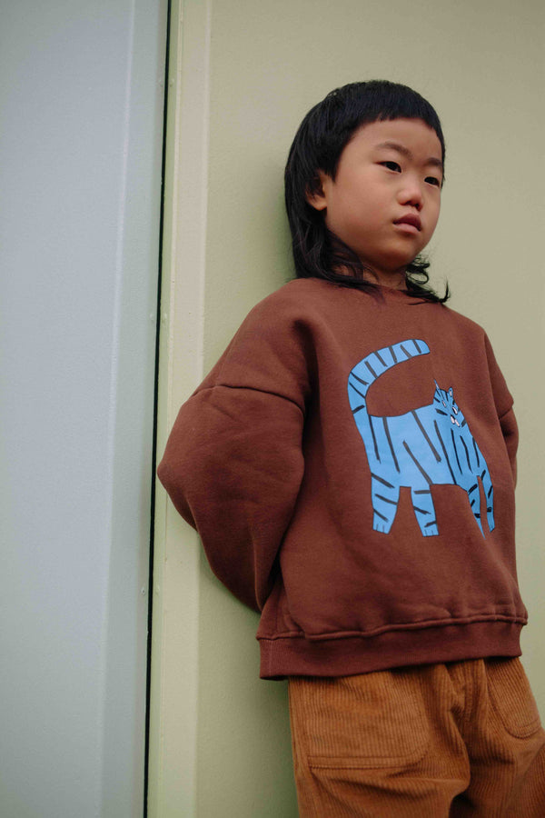 SWEATER  ELECTRIQUE TIGRE