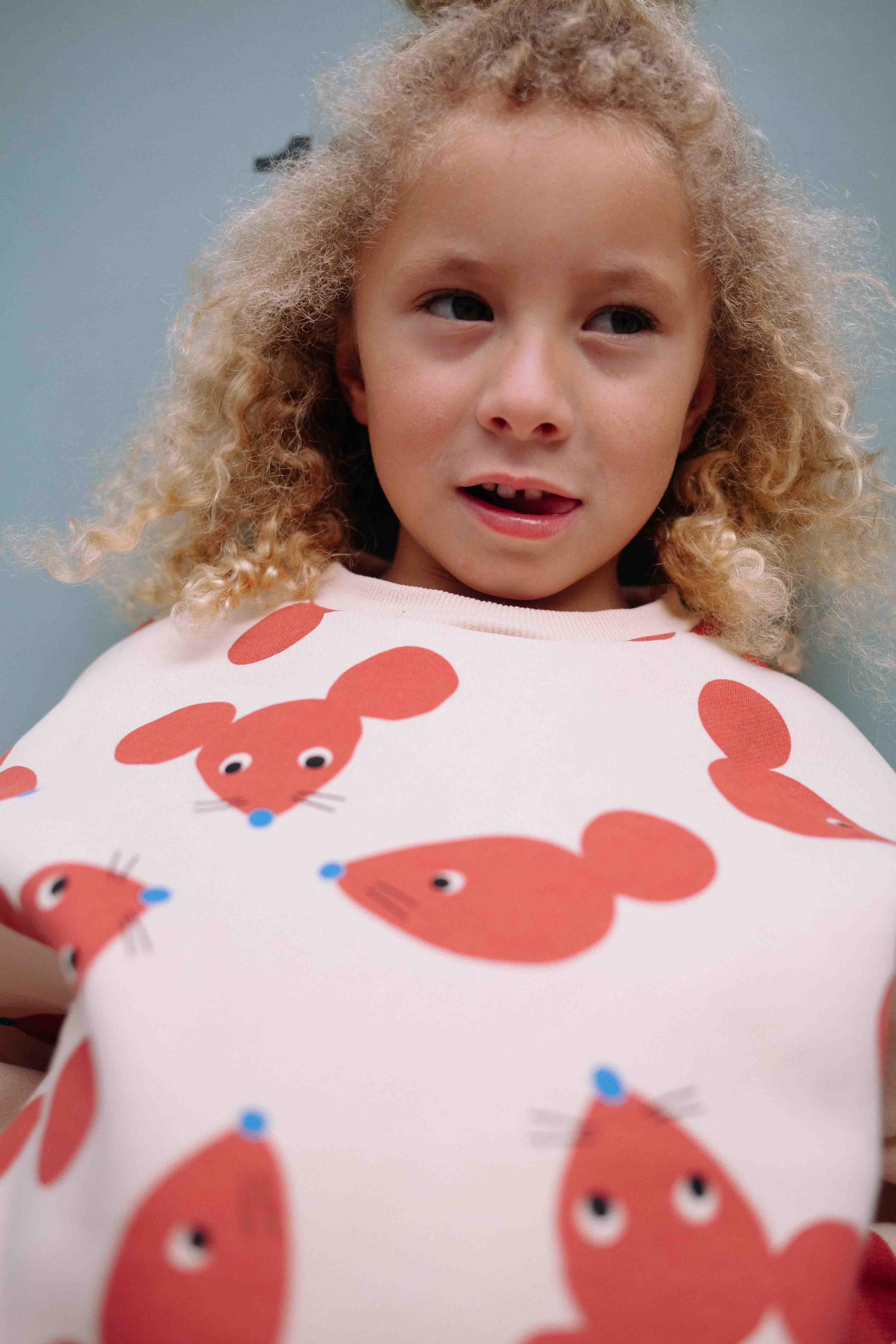 TERRACOTTA FUNNY MOUSE SET