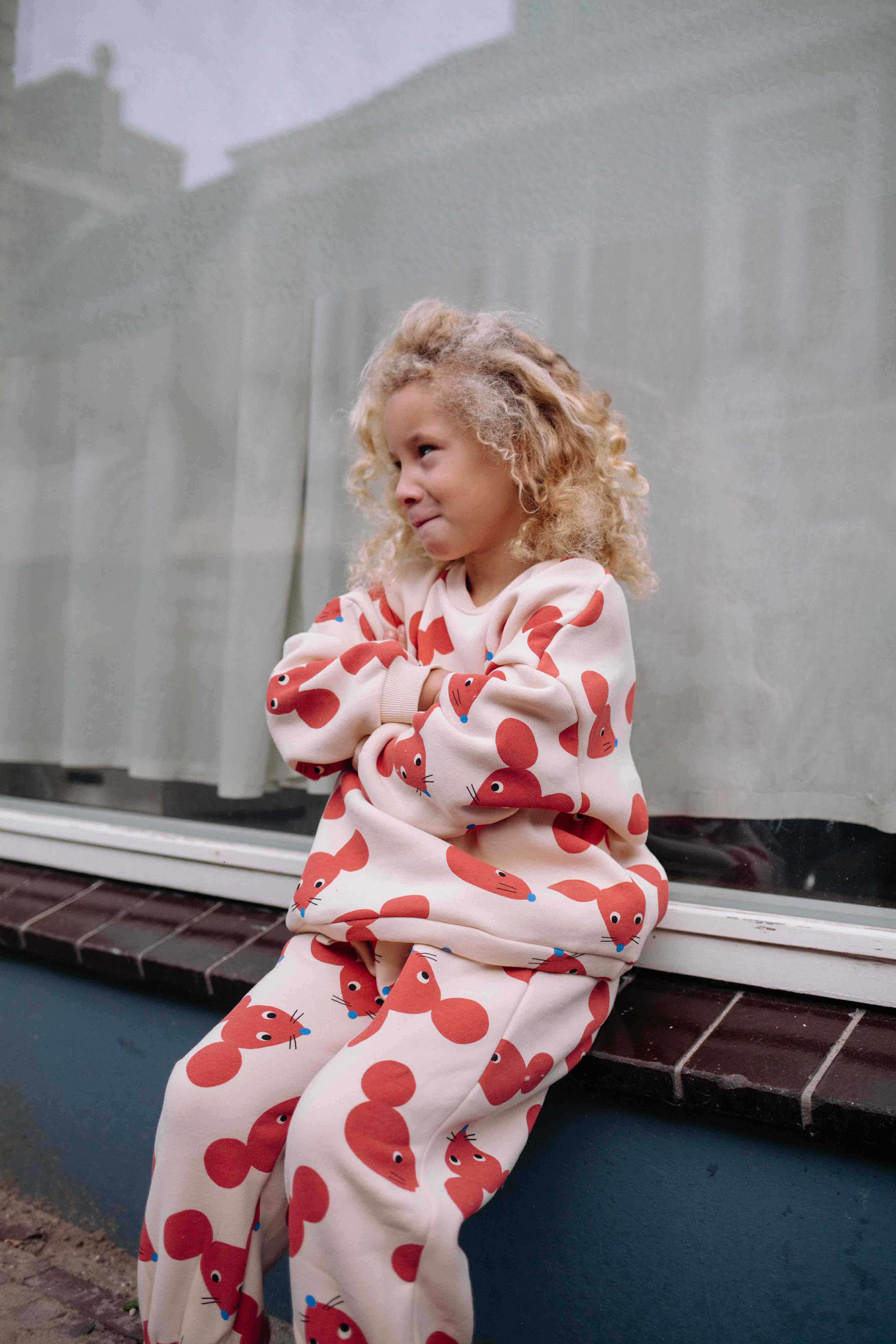 TERRACOTTA FUNNY MOUSE SET