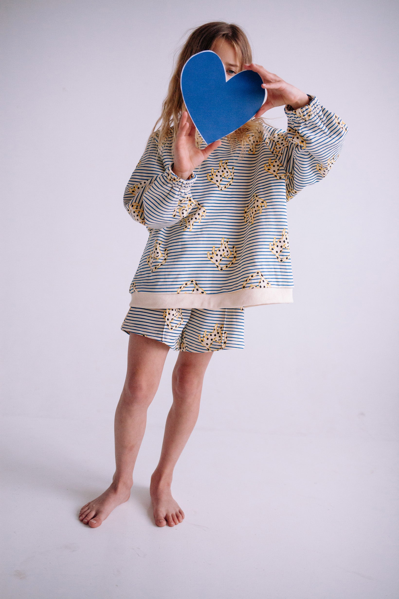 JUMPING CHEETAH SET