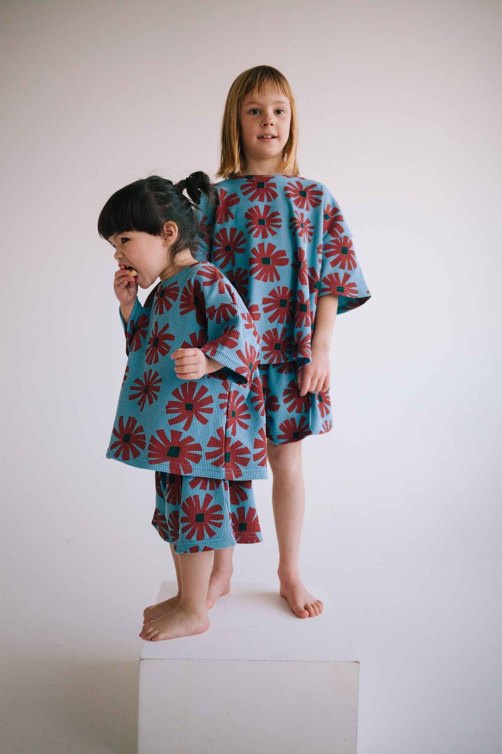 ENSEMBLE SKY BLOM