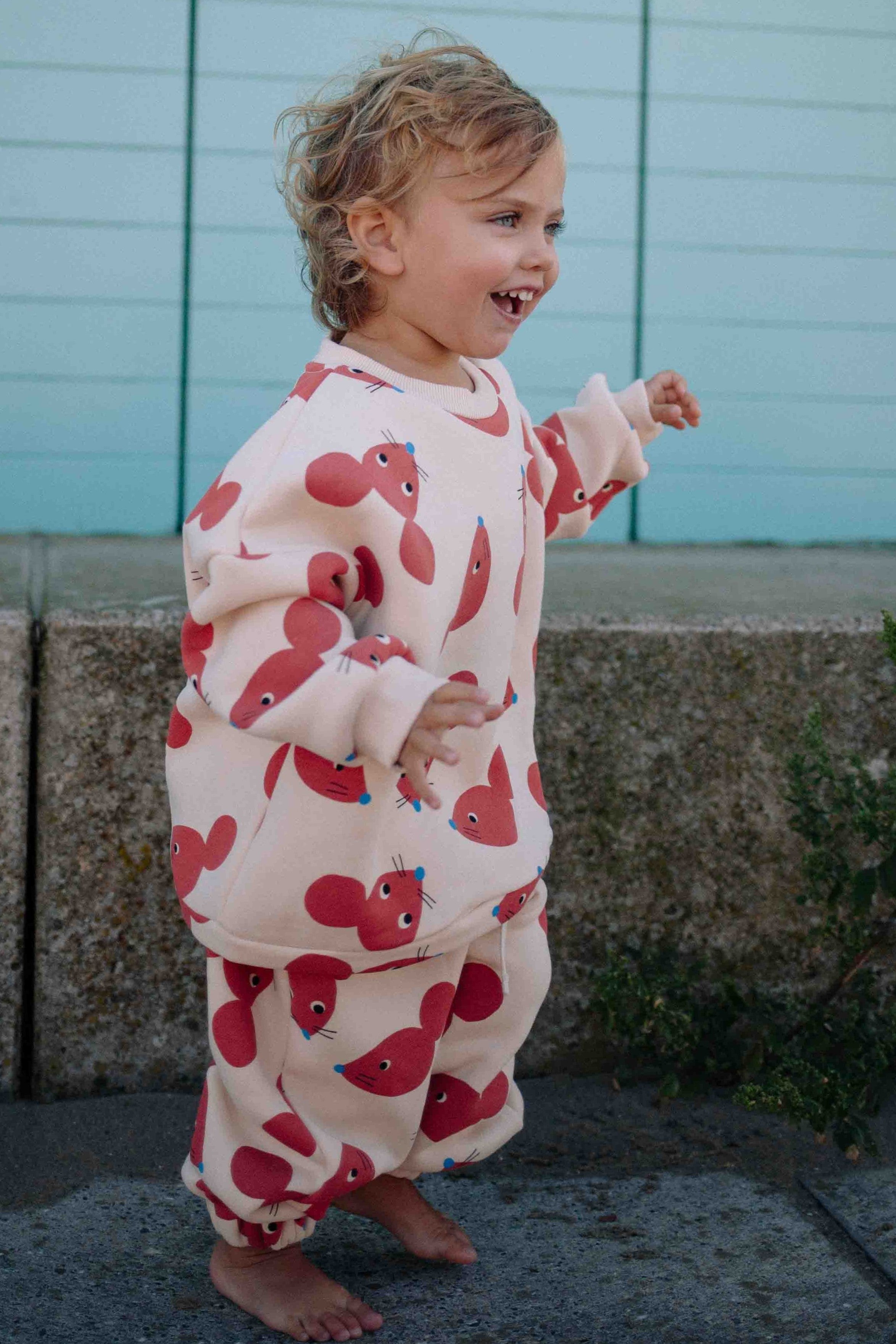 TERRACOTTA FUNNY MOUSE SET