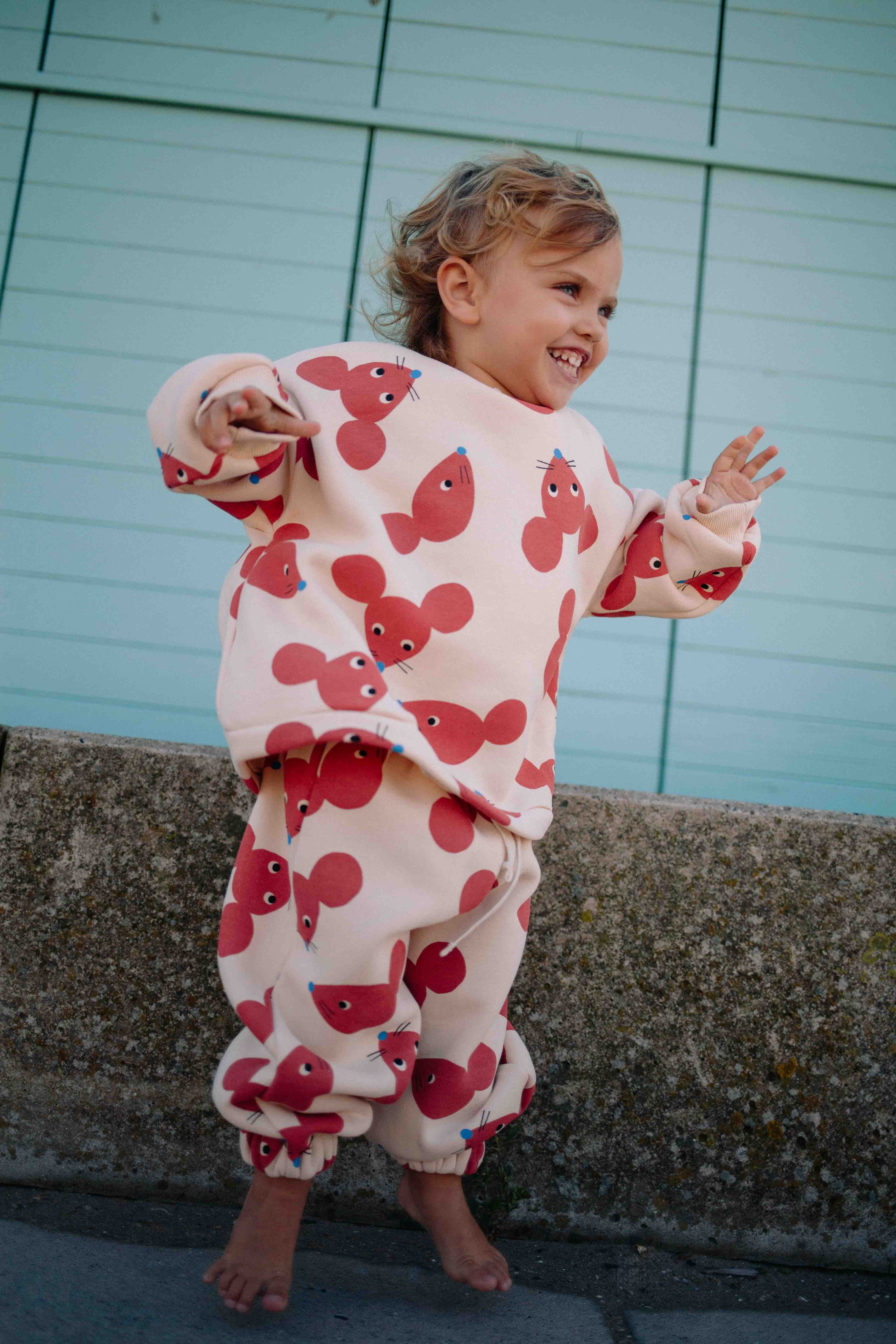 TERRACOTTA FUNNY MOUSE SET