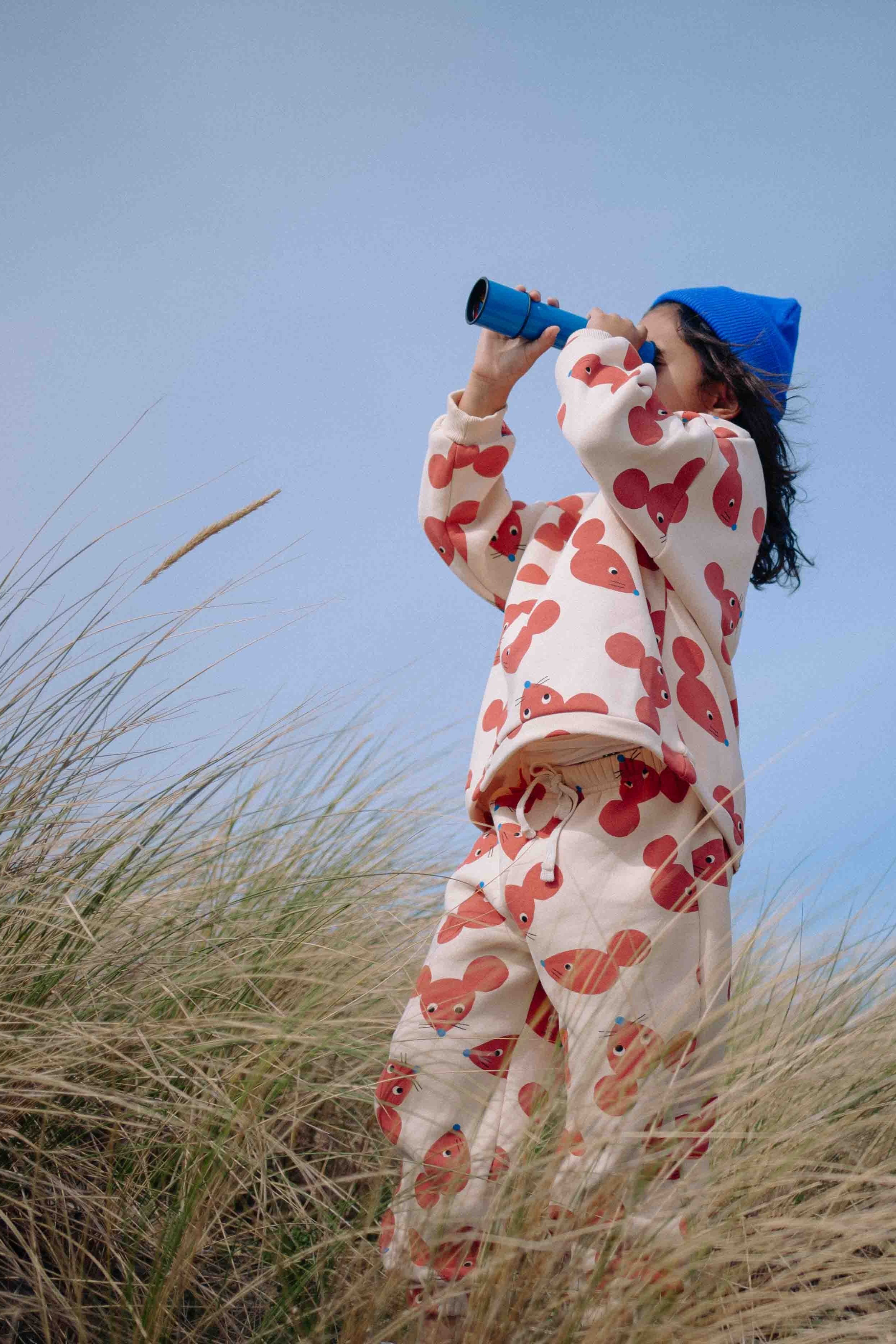 TERRACOTTA FUNNY MOUSE SET