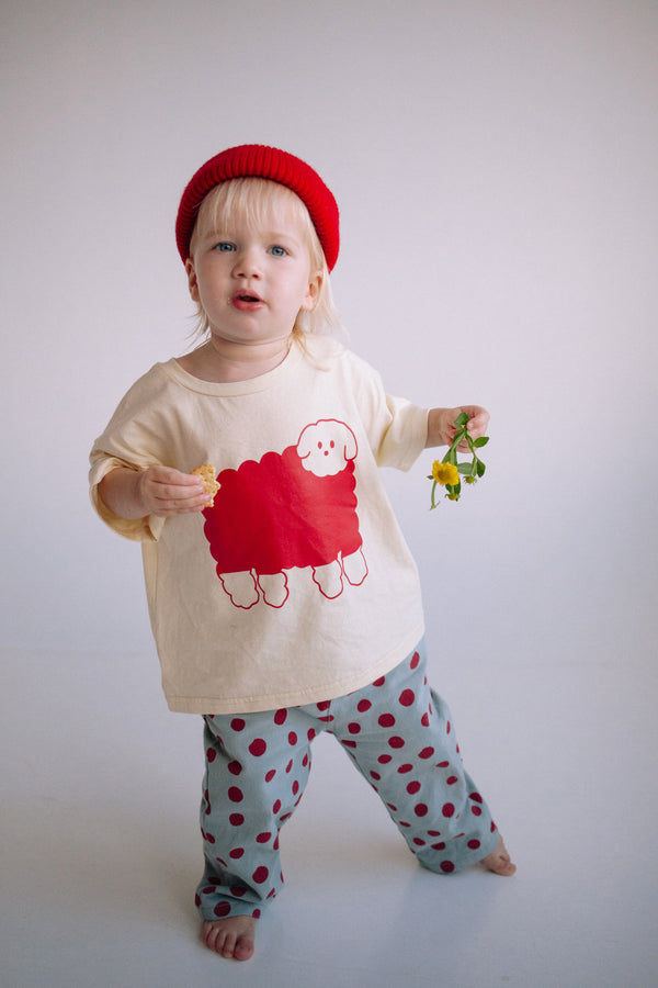COTTON SHEEP TS