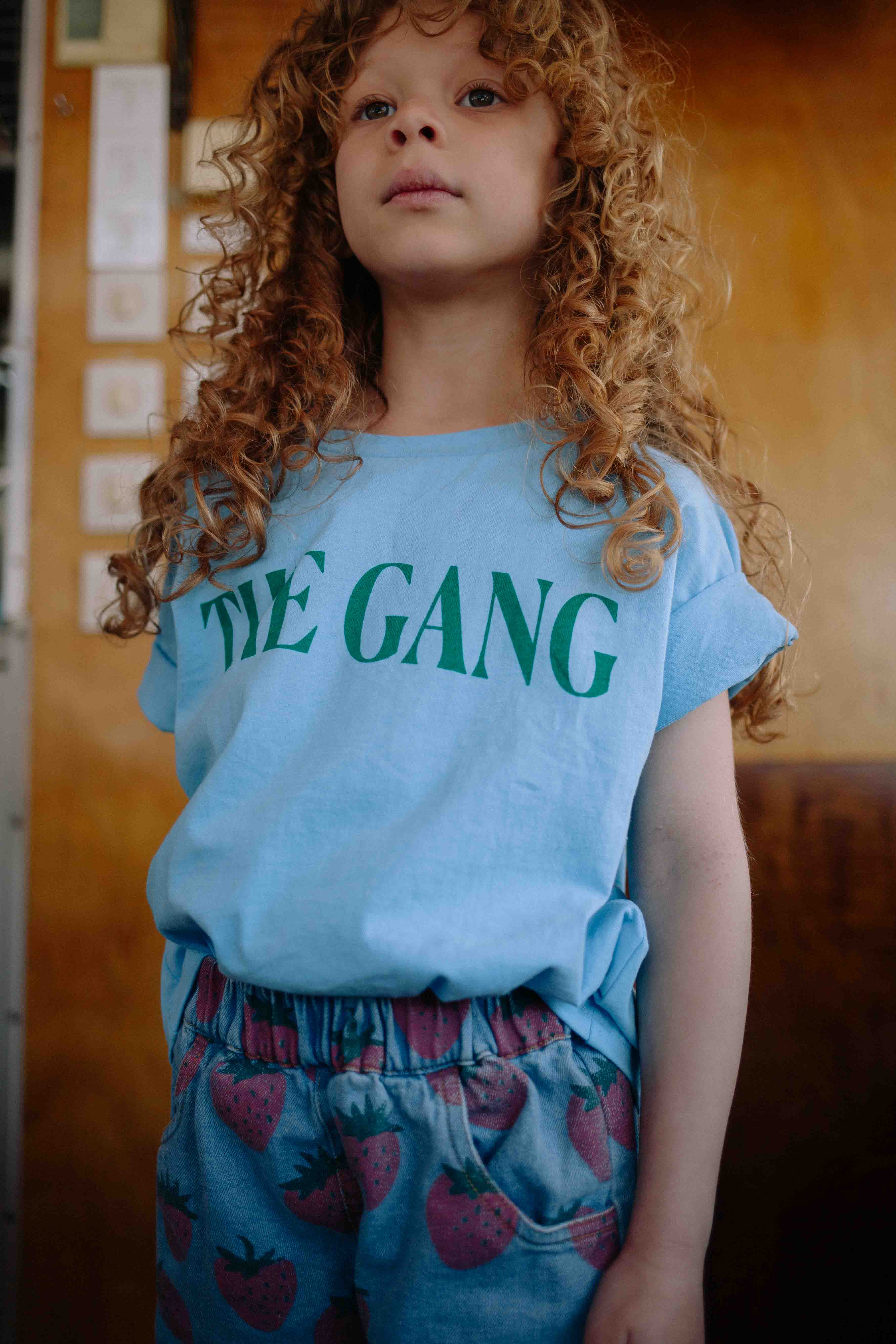 THE GANG TS